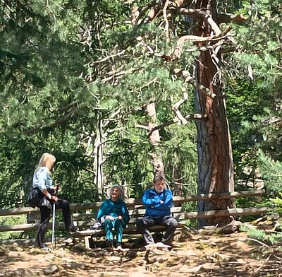 Wanderung der Naturfreunde - Oblasser Stausee