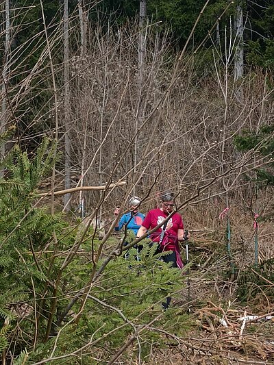 Wanderung der Naturfreunde - Zick Zack Steig