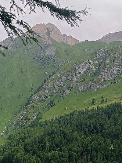 Wanderung der Naturfreunde - Lasnitzenhütte