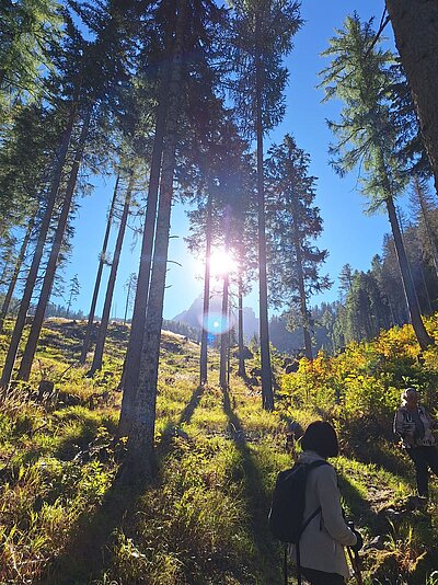 Wanderung der Naturfreunde - Samsteig