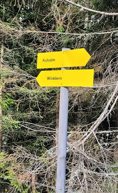 Wanderung der Naturfreunde - Lainacher Kuhalm - Ronahütte