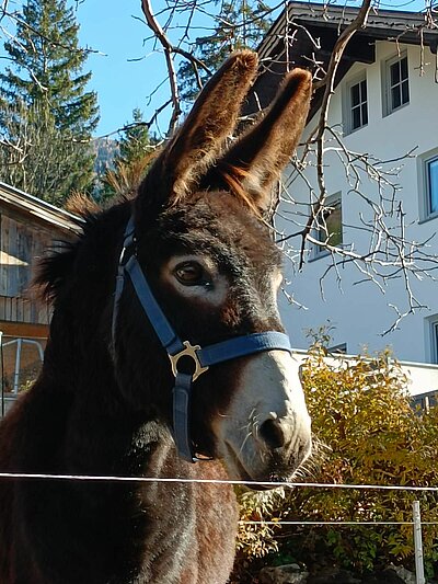 Abschlusswanderung der Naturfreunde - Sonnenrunde