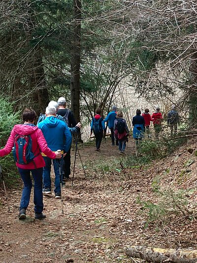 Wanderung der Naturfreunde - Zick Zack Steig