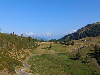 Wanderung der Naturfreunde - Zollnerseehütte