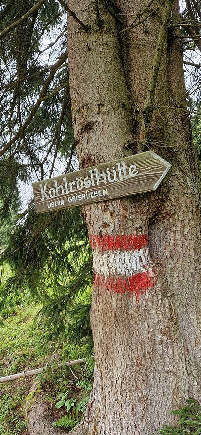 15. Seniorenwanderung der Naturfreunde - Weißensee