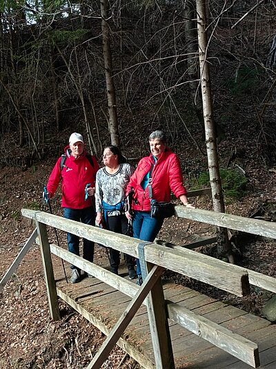 Wanderung der Naturfreunde - Debant-Dölsach-Debant Runde