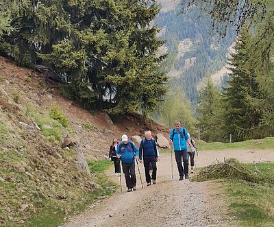 Zettersfeldrunde der Naturfreunde