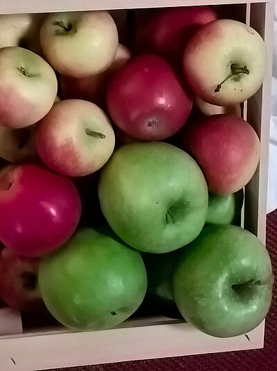 Wanderung der Naturfreunde - Peterskirchl Toblach/Aufkirchen