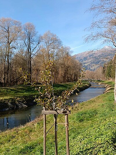 Abschlusswanderung der Naturfreunde - Sonnenrunde