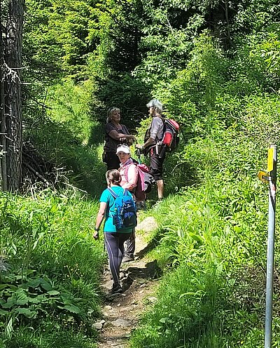 10. Seniorenwanderung der Naturfreunde - Winklerner Hütte