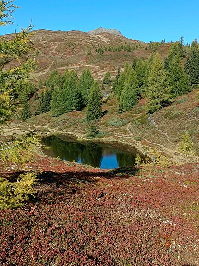 Wanderung der Naturfreunde - Hochstein