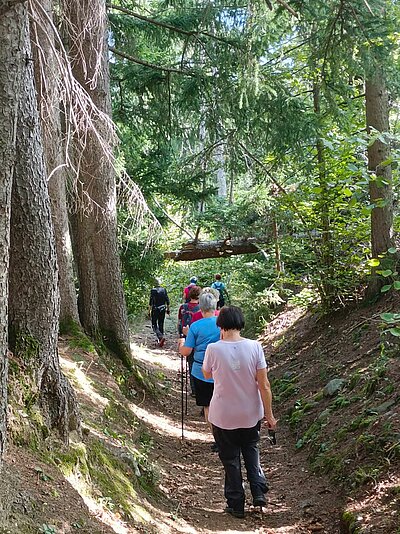 21. Seniorenwanderung der Naturfreunde - Zick-Zack-Steig