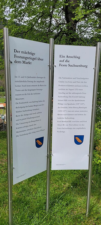 Wanderung der Naturfreunde - Sachsenburg