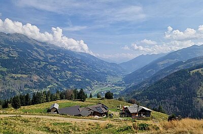 Wanderung der Naturfreunde - Lainacher Kuhalm - Ronahütte