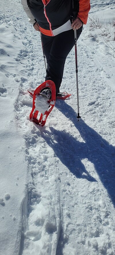 Schneeschuhwanderung der Naturfreunde in Kals