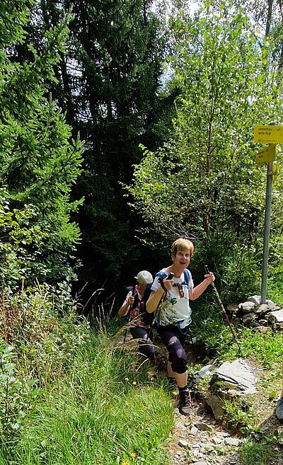 Wanderung der Naturfreunde - Mauthner Alm und Enzianhütte