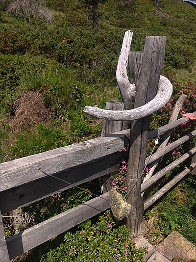 Wanderung der Naturfreunde - Lienzer Hütte