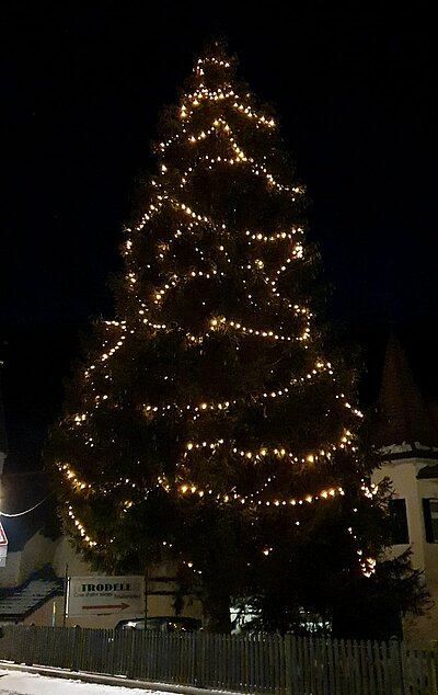 Ausflug der Naturfreunde zum Christkindlmarkt Innichen