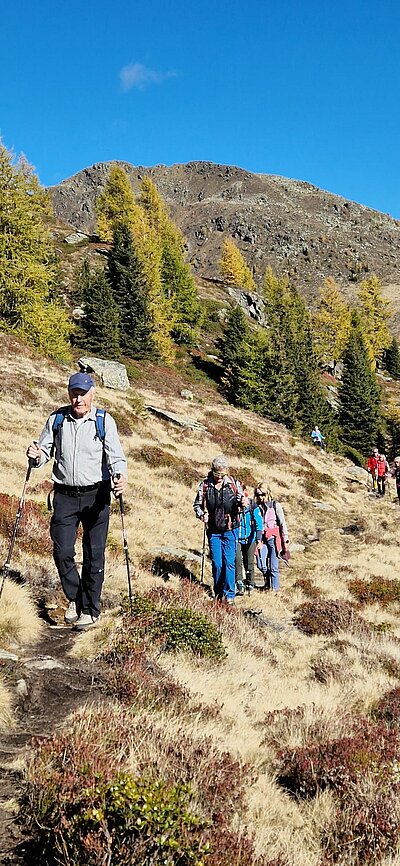 Wanderung der Naturfreunde - Winklerner Almsee