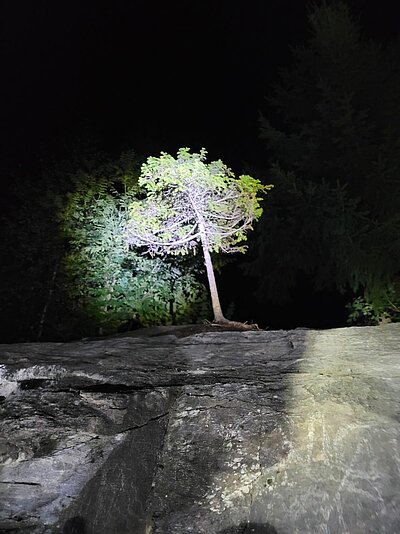 16. Seniorenwanderung der Naturfreunde 2022 - Groppensteinschlucht Obervellach bei Nacht