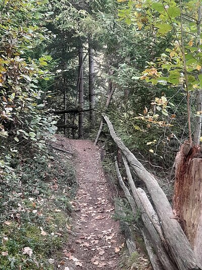 25. Seniorenwanderung der Naturfreunde - Jaggler Kreuz-Runde