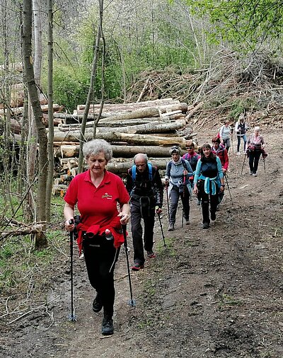 4. Seniorenwanderung der Naturfreunde - Römersteig