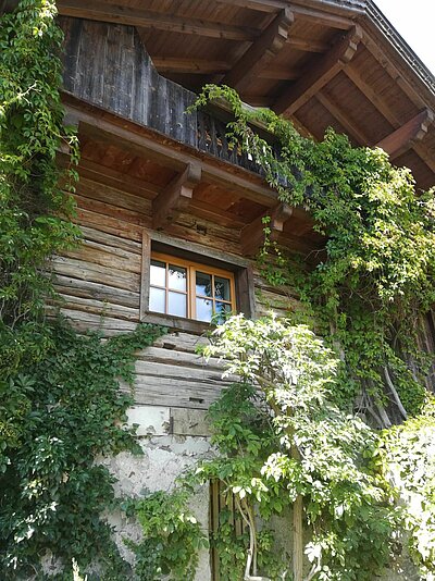 Radlfahren und Grillen der Naturfreunde in der Pfister