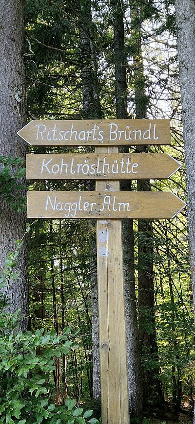 Wanderung der Naturfreunde - Kohlröslhütte 1534m