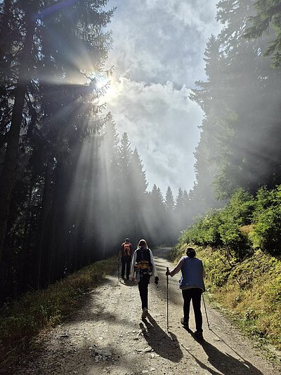 Wanderung der Naturfreunde - Kreuzeckbahn mit Klinghütte - Mühldorfer Alm