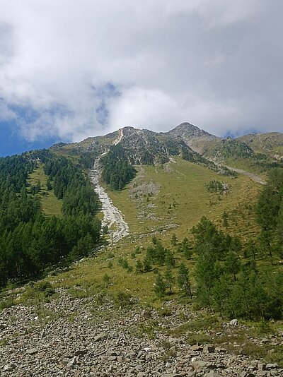Wanderung der Naturfreunde - Trojeralm