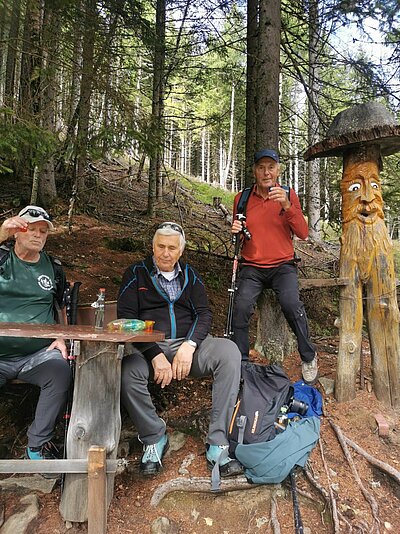 Wanderung der Naturfreunde - Kreuzeckbahn mit Klinghütte - Mühldorfer Alm