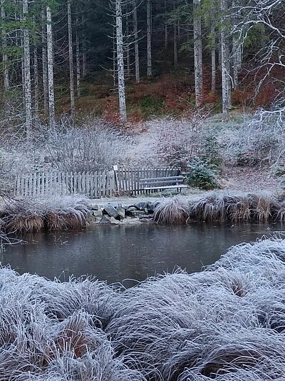 Wanderung der Naturfreunde - Tristachersee und Alter See Runde
