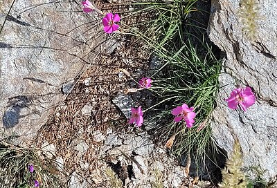 Wanderung der Naturfreunde - Astental und Mohar