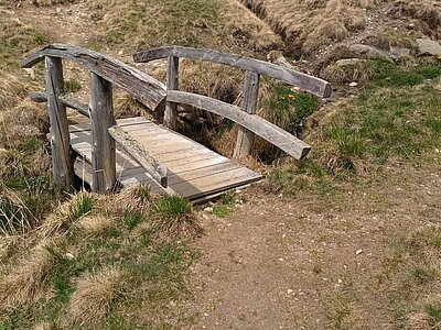 Zettersfeldrunde der Naturfreunde