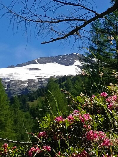 Wanderung der Naturfreunde - Kalser Tauernhaus