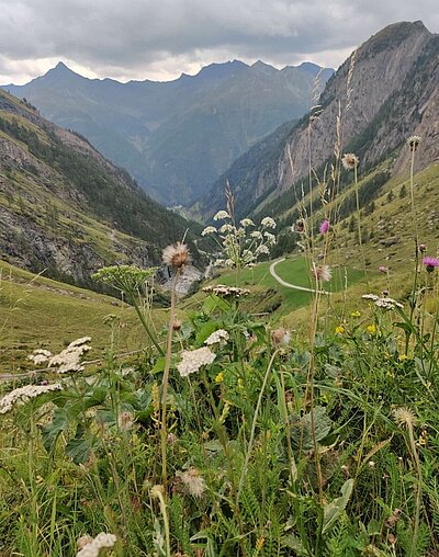 Wanderung der Naturfreunde - Johannishütte