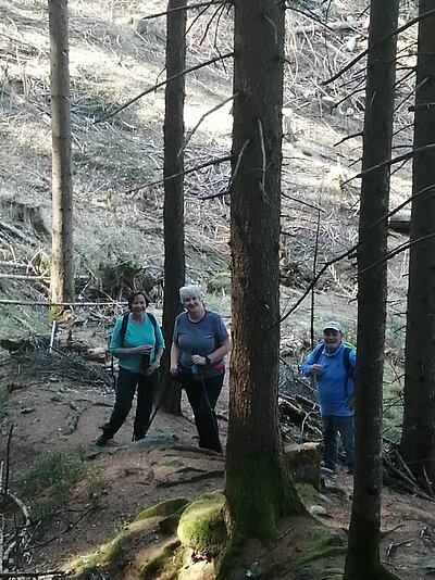 Naturfreunde-Wanderung Schlossberg