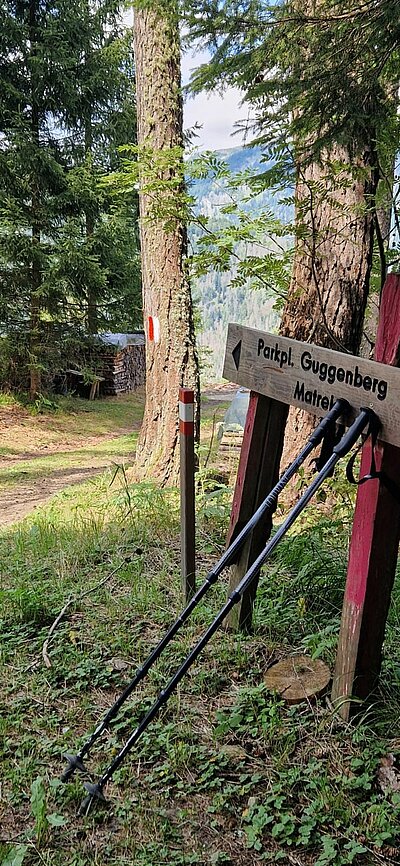 Wanderung der Naturfreunde - Zunig Alm