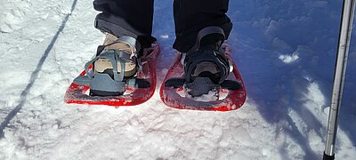 Schneeschuhwanderung der Naturfreunde in Kals