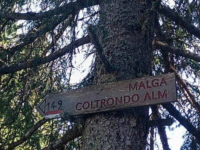 Wanderung der Naturfreunde - Nemes Alm