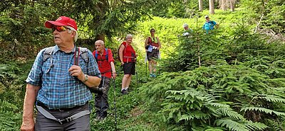 11. Seniorenwanderung der Naturfreunde - Penzelberg