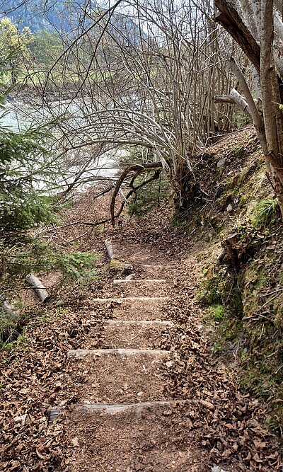 Naturfreunde - Iseltrail