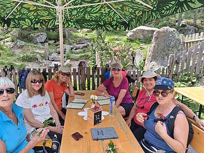 Wanderung der Naturfreunde - Lienzer Hütte