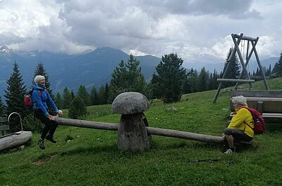 10. Seniorenwanderung der Naturfreunde - Winklerner Hütte