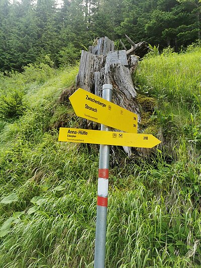 Wanderung der Naturfreunde - Ederplan mit Heldenkreuz und Anna Schutzhaus