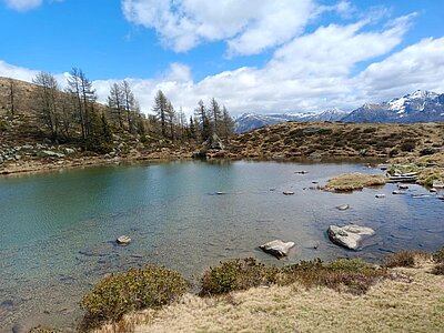Wanderung der Naturfreunde - Winklerner Almsee