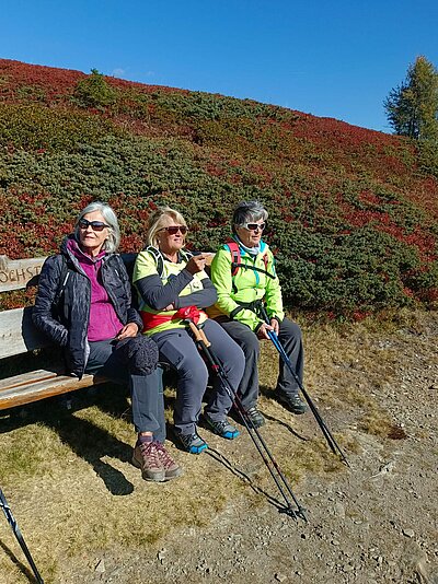 Wanderung der Naturfreunde - Hochstein