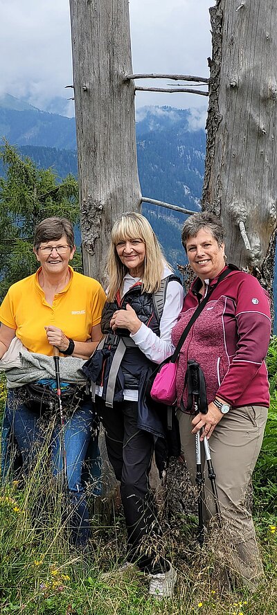 15. Seniorenwanderung der Naturfreunde - Weißensee