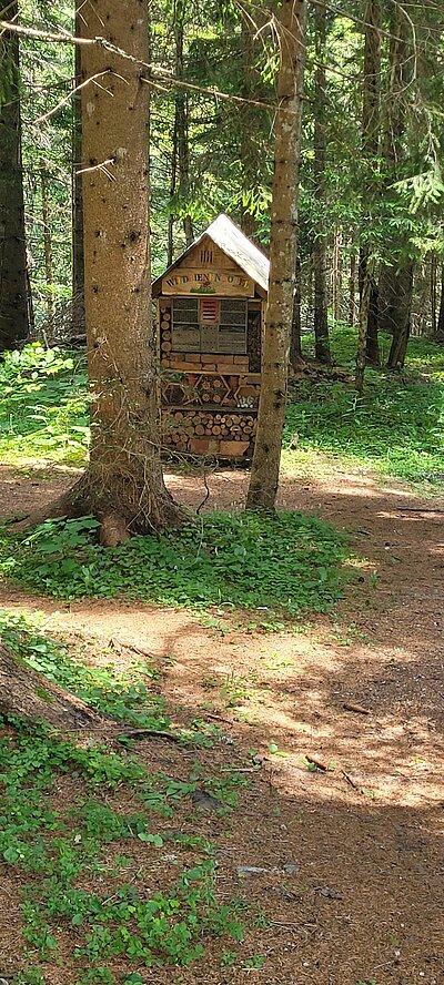 Wanderung der Naturfreunde - Morendenweg, Märchenwald und Wasserfall