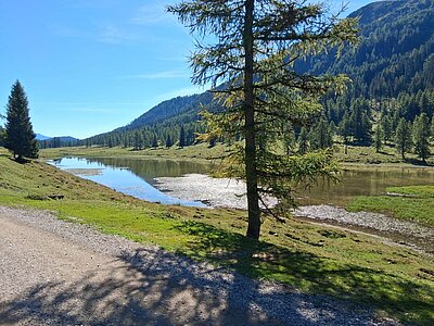 Wanderung der Naturfreunde - Egger Alm in Hermagor